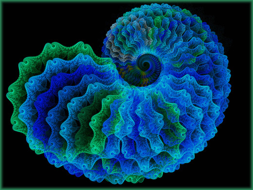 605031 (a): :2048x1536